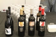 cantabria_vinos_2015_067