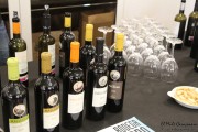 cantabria_vinos_2015_069