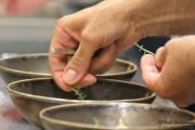 2014_07_bacalao_giraldo_020