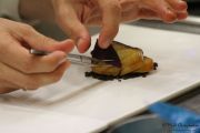 2014_07_bacalao_giraldo_024
