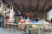 2016_09_casar_016
