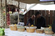 2016_09_casar_029