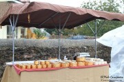 2016_09_casar_071