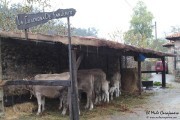 2016_09_casar_091
