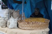 2016_09_casar_126