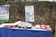 2016_09_casar_163