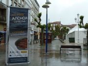 2012_anchoa_santona_003