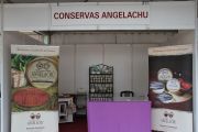 2012_anchoa_santona_015