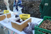 2017_12_casar_periedo_070
