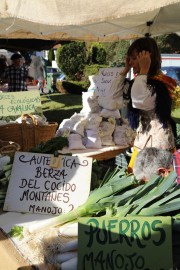 2017_12_casar_periedo_126