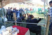 2017_12_casar_periedo_136