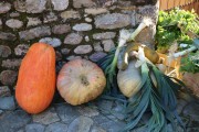 2017_12_casar_periedo_172
