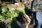 2018_10_feria_alubia_2018_021