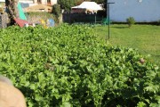 2018_10_feria_alubia_2018_132