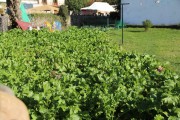 2018_10_feria_alubia_2018_133