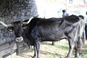 2018_10_feria_alubia_2018_231