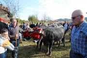 2018_10_feria_alubia_2018_233