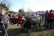 2018_10_feria_alubia_2018_236