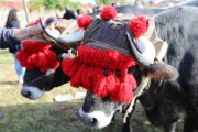 2018_10_feria_alubia_2018_238