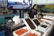 2017_12_feria_producto_107
