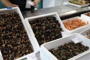 2017_12_feria_producto_111