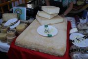 IMG_7223