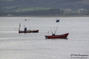 santona_feria_anchoa_2015_paseo_001