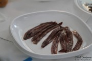 santona_feria_anchoa_2015_paseo_037