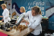 santona_feria_anchoa_2015_yolanda_010