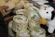 2014_07_kaopreces_055