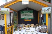 2012_pesquera_puestos_009
