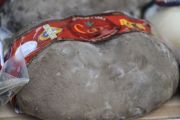 2012_pesquera_quesoosco_004