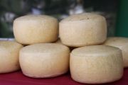 2012_pesquera_quesoosco_006
