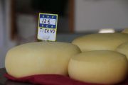 2012_pesquera_quesoosco_007
