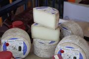 2012_pesquera_quesoosco_016