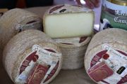 2012_pesquera_quesoosco_017