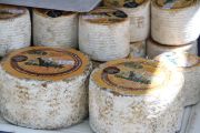 2012_pesquera_quesoosco_018