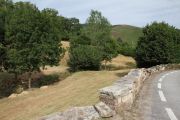 2012_pesquera_006