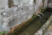 2012_pesquera_009
