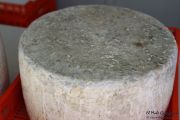 2014_08_pesquera_2014_015