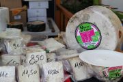 2014_08_pesquera_2014_028