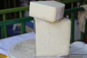 2014_08_pesquera_2014_037