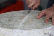 2014_08_pesquera_2014_041