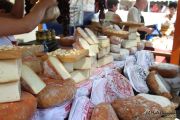 2014_08_pesquera_2014_051
