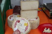 08_2015_pesquera_2015_006