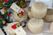 08_2015_pesquera_2015_061