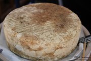 2016_08_pesquera_2016_014