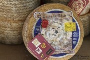 2016_08_pesquera_2016_015
