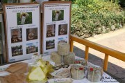 2016_08_pesquera_2016_044