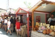 2016_08_pesquera_2016_061